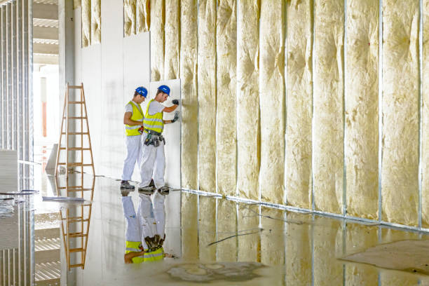 Best Insulation Inspection Services  in Manson, WA